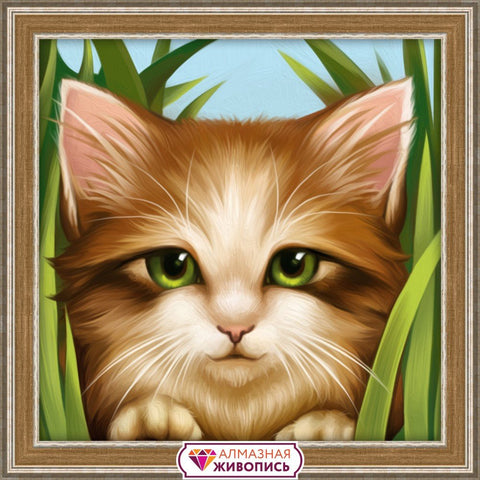 HOBI.LT 🇱🇹: Deimantinis paveikslas Green - eye Cat AZ - 1640 15_15cm - HOBI.LT 🇱🇹