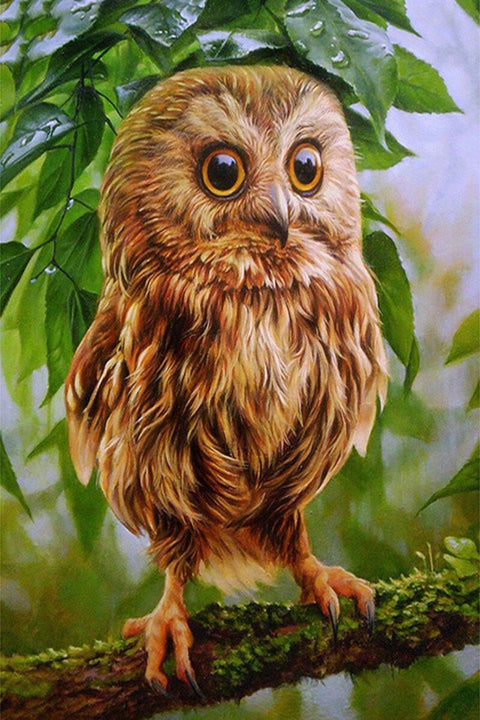 Wizardi: Deimantinis paveikslas Owl Mickie WD246 20*30 cm - HOBI.LT 🇱🇹