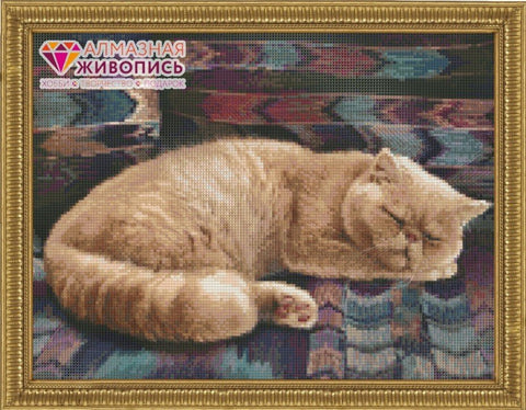 HOBI.LT 🇱🇹: Deimantinis paveikslas Persian Cat AZ - 1462 Dydis: 40х30 - HOBI.LT 🇱🇹