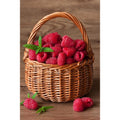 Wizardi: Deimantinis paveikslas Raspberry Basket WD252 27*38 cm - HOBI.LT 🇱🇹