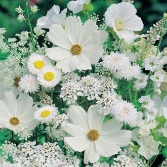 HOBI.LT 🇱🇹: Deimantinis paveikslas White Flowers AZ - 1195 Dydis: 50х50 - HOBI.LT 🇱🇹