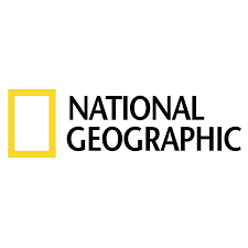 National Geographic profesionalus metalo detektorius su LCD, 20 cm rite, 5 m garantija