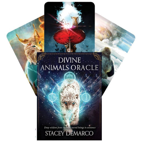 Rockpool: Divine Animals Oracle kortos - HOBI.LT 🇱🇹