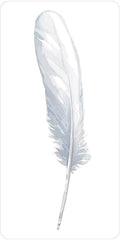 US Games Systems: Divine Feather Oracle kortos - HOBI.LT 🇱🇹