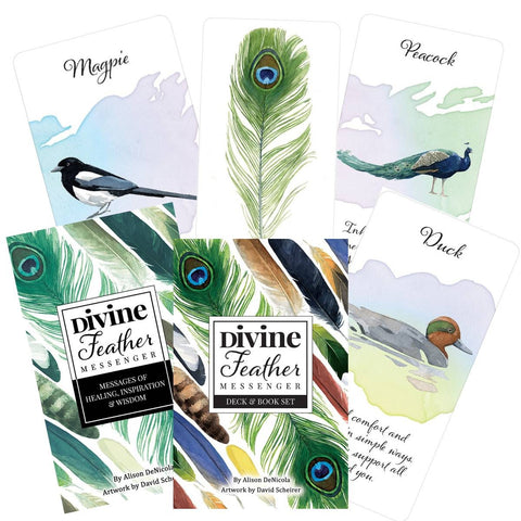 Divine Feather Messenger kortų rinkinys su knyga ir dėžute, akvarelinės paukščių kortos išdėstytos fone, centre pavo plunksna