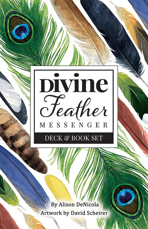 Orakulo kortų rinkinys Divine Feather Messenger su spalvotomis plunksnų iliustracijomis ant viršelio ir pridedama knygute