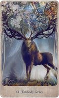 US Games Systems: Divine Nature Oracle kortų ir knygos rinkinys - HOBI.LT 🇱🇹