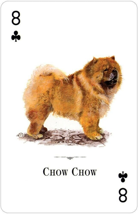 US Games Systems: Dogs Of The World žaidimų kortos - HOBI.LT 🇱🇹