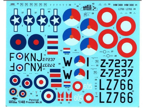 Dora Wings Percival Proctor Mk.III 1/48 surenkamas lėktuvo modelis 48006