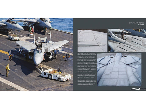 Duke Hawkins F-14 Tomcat knyga: JAV karinis laivynas ir Iranas