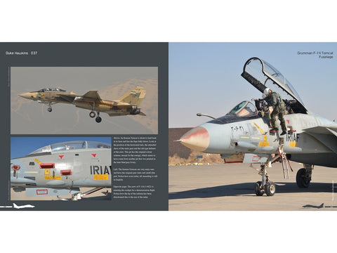 Duke Hawkins F-14 Tomcat knyga: JAV karinis laivynas ir Iranas