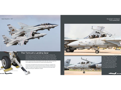 Duke Hawkins F-14 Tomcat knyga: JAV karinis laivynas ir Iranas