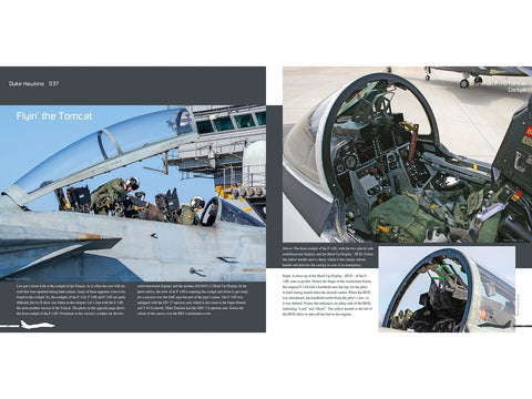 Duke Hawkins F-14 Tomcat knyga: JAV karinis laivynas ir Iranas