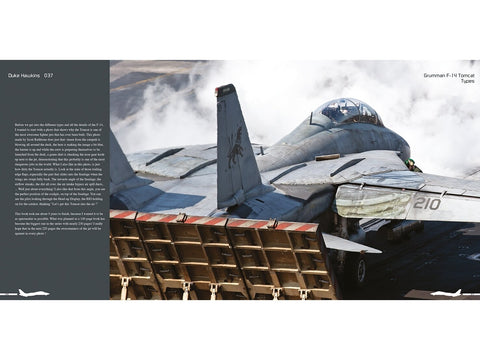 Duke Hawkins F-14 Tomcat knyga: JAV karinis laivynas ir Iranas