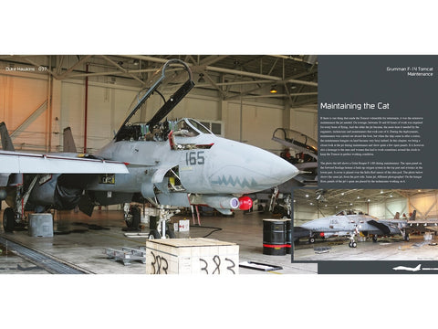 Duke Hawkins F-14 Tomcat knyga: JAV karinis laivynas ir Iranas