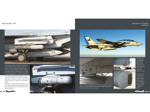 Duke Hawkins F-14 Tomcat knyga: JAV karinis laivynas ir Iranas