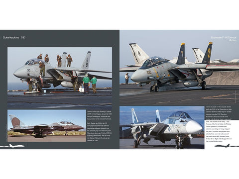 Duke Hawkins F-14 Tomcat knyga: JAV karinis laivynas ir Iranas