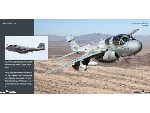 Duke Hawkins EA-6B Prowler knyga: JAV laivyno ir jūrų pėstininkų lėktuvas