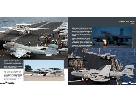 Duke Hawkins EA-6B Prowler knyga: JAV laivyno ir jūrų pėstininkų lėktuvas