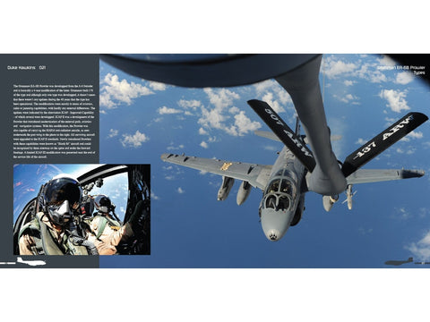 Duke Hawkins EA-6B Prowler knyga: JAV laivyno ir jūrų pėstininkų lėktuvas
