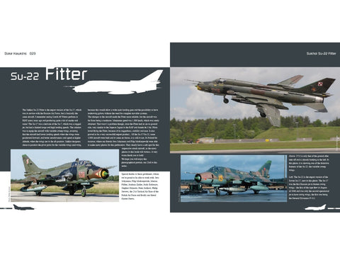 Duke Hawkins: naikintuvas Sukhoi Su‑22 Fitter Rytų Europoje