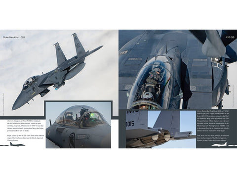Duke Hawkins knyga: Boeing F-15E Strike Eagle naikintuvas