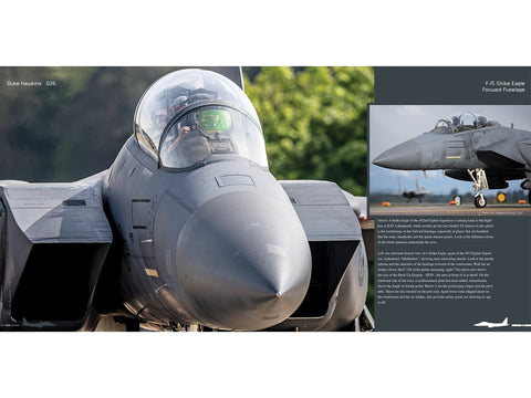 Duke Hawkins knyga: Boeing F-15E Strike Eagle naikintuvas