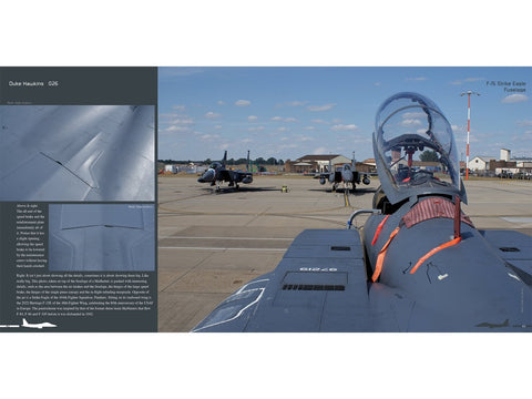 Duke Hawkins knyga: Boeing F-15E Strike Eagle naikintuvas