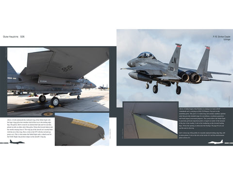 Duke Hawkins knyga: Boeing F-15E Strike Eagle naikintuvas