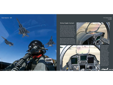 Duke Hawkins knyga: Boeing F-15E Strike Eagle naikintuvas