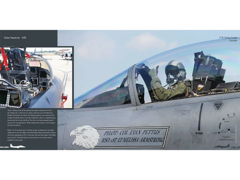 Duke Hawkins knyga: Boeing F-15E Strike Eagle naikintuvas