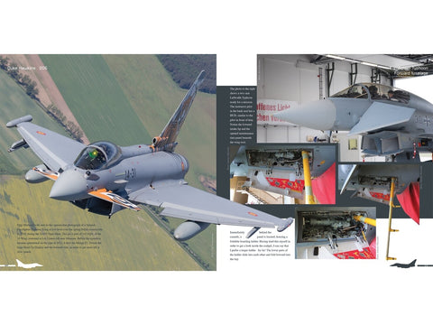 Eurofighter Typhoon naikintuvas: iliustruotas gidas aviacijos gerbėjams