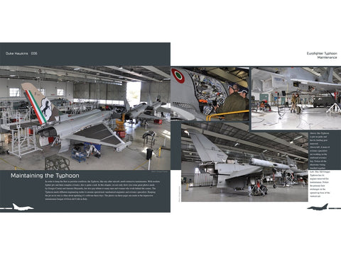 Eurofighter Typhoon naikintuvas: iliustruotas gidas aviacijos gerbėjams