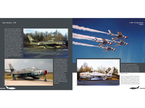 Duke Hawkins knyga: naikintuvas Republic F-84F Thunderstreak