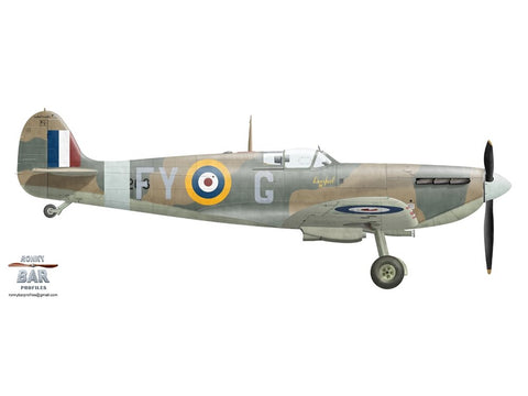 Kotare Supermarine Spitfire Mk.Va 1/32 plastikinis surenkamas modelis