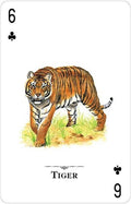 US Games Systems: Endangered Species of the Natural World žaidimo kortos - HOBI.LT 🇱🇹