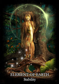 Solarus: Evolution of the Soul Oracle kortos Solarus Kortos - HOBI.LT 🇱🇹
