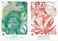 Findhorn Press: Findhorn Spirit Oracle kortos - HOBI.LT 🇱🇹