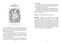 Findhorn Press: Findhorn Spirit Oracle kortos - HOBI.LT 🇱🇹