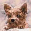 Crafting Spark: Fluffy Friend 40х40 Deimantinio Paveikslo komplektas Cs2307 - HOBI.LT 🇱🇹