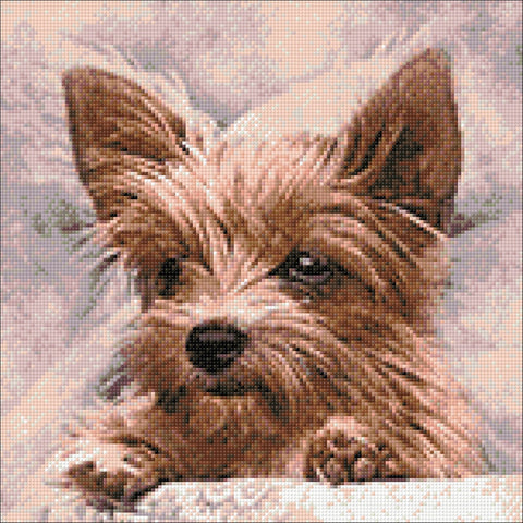 Crafting Spark: Fluffy Friend 40х40 Deimantinio Paveikslo komplektas Cs2307 - HOBI.LT 🇱🇹