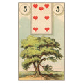 Lo Scarabeo: French Cartomancy Oracle Kortos - HOBI.LT 🇱🇹