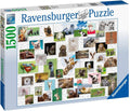 Ravensburger: Funny Animals Collage 1500 Piece Puzzle - RAVENSBURGER dėlionė - HOBI.LT 🇱🇹