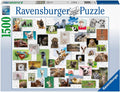 Ravensburger: Funny Animals Collage 1500 Piece Puzzle - RAVENSBURGER dėlionė - HOBI.LT 🇱🇹