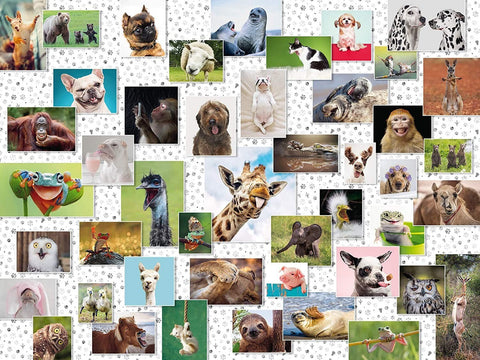 Ravensburger: Funny Animals Collage 1500 Piece Puzzle - RAVENSBURGER dėlionė - HOBI.LT 🇱🇹