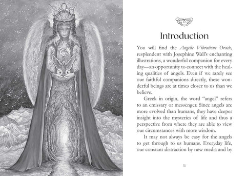 Angeliškos Vibracijos – angelų orakulo kortos, 50 kortų, su vadovu