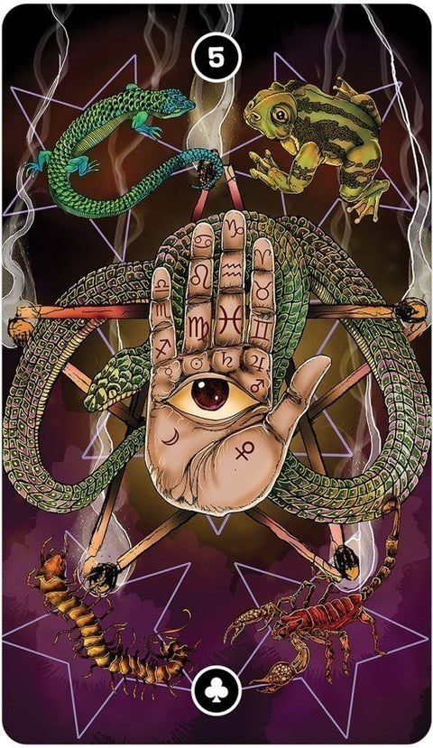 US Games Systems: Global Fusion Intuitive Tarot kortos - HOBI.LT 🇱🇹