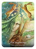 Rockpool: Goddess Dream Oracle kortos - HOBI.LT 🇱🇹