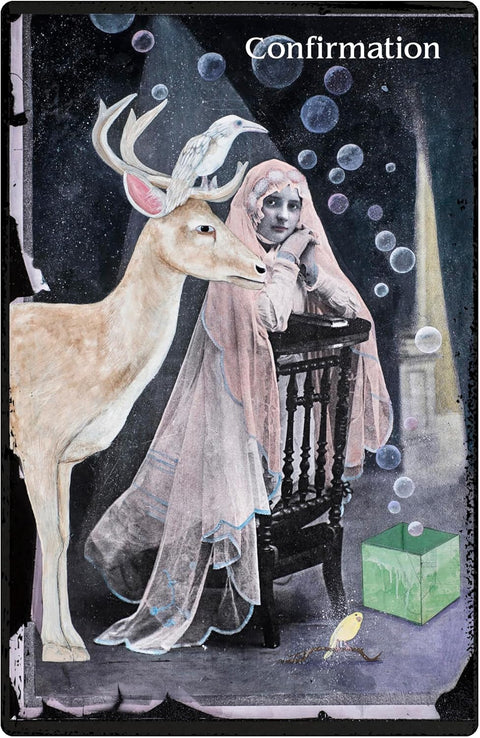 The Oracle of Rewilding orakulo kortos – gyvūnų išminties galia