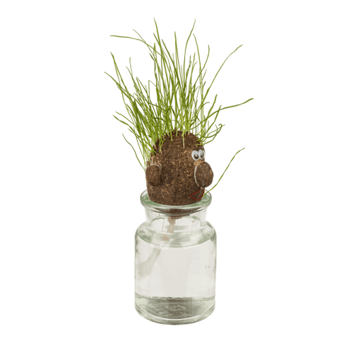 Oliziukas – žmogaus galva su augančiais žolės plaukais, 8 cm